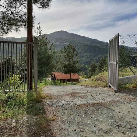 The Cosy Mountain Cabin With Stunning Views Near Troodos Kato Amiandos Екстериор снимка