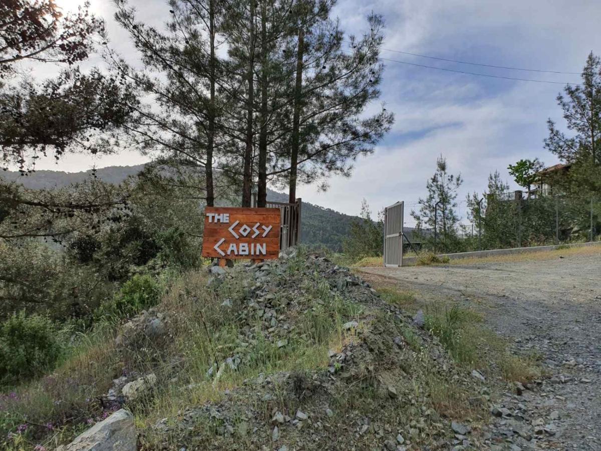 The Cosy Mountain Cabin With Stunning Views Near Troodos Kato Amiandos Екстериор снимка