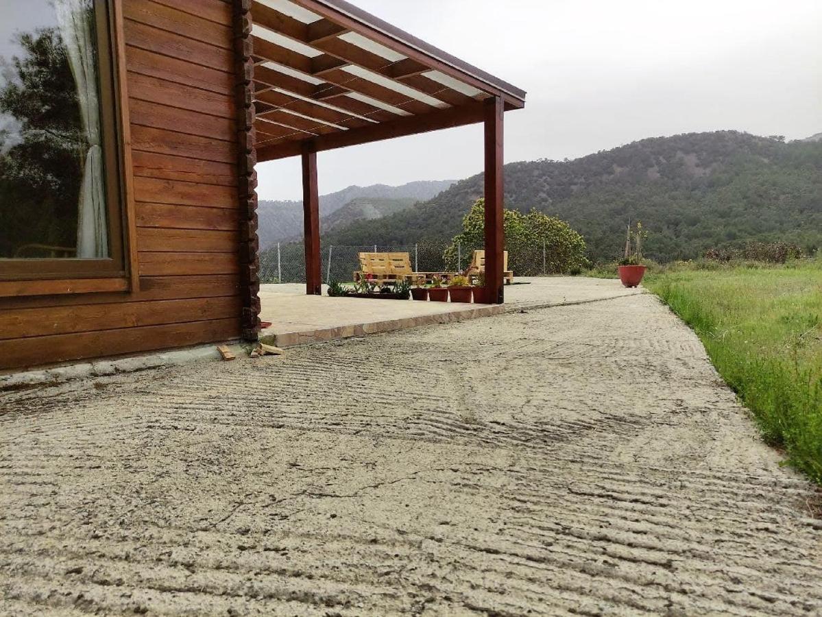The Cosy Mountain Cabin With Stunning Views Near Troodos Kato Amiandos Екстериор снимка